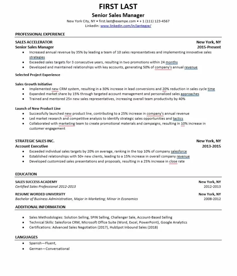 Resume Template 1 resume template preview