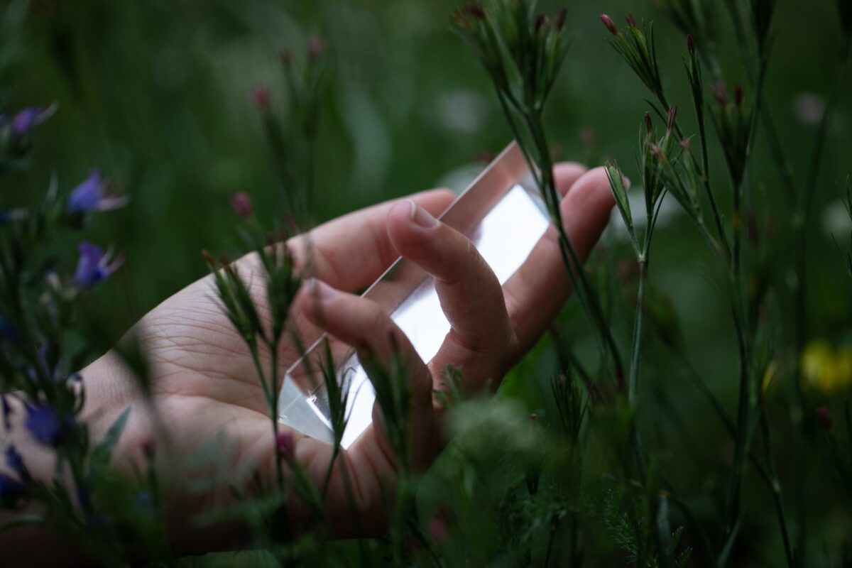 A hand holding a rectangular glass prism among tall green grass and wildflowers, with soft natural light reflecting off the prism—symbolizing the clarity and significance of the importance of employer branding in todays workplace.